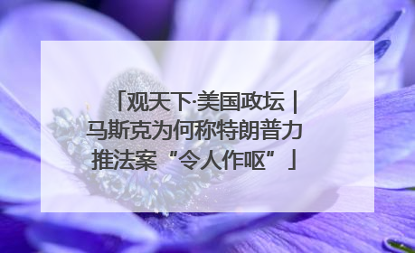 观天下·美国政坛｜马斯克为何称特朗普力推法案“令人作呕”